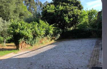 Quinta do Casal da Bica - Foto 4