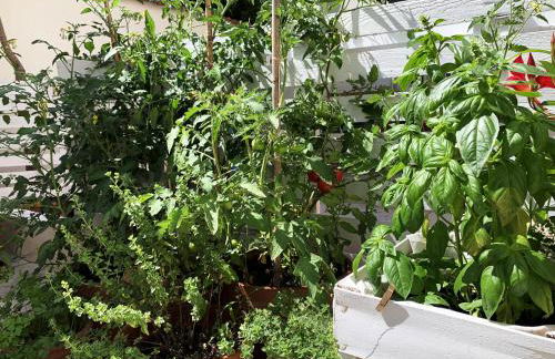 Tap Apartments - in Independent House with Private Garden - Photo 37