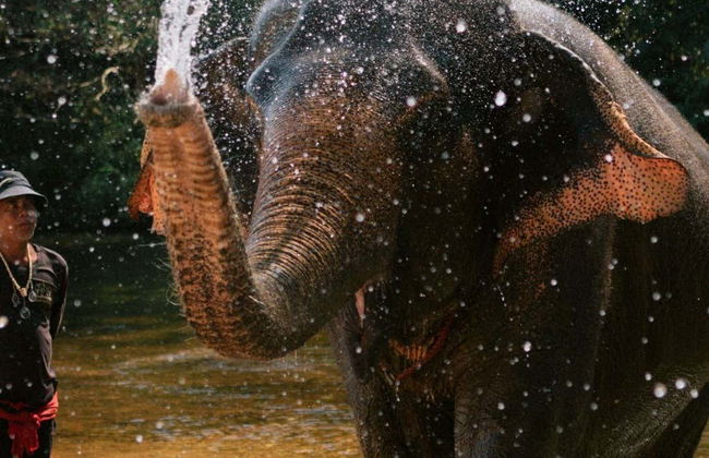 Khao Sok Safari - Photo 1