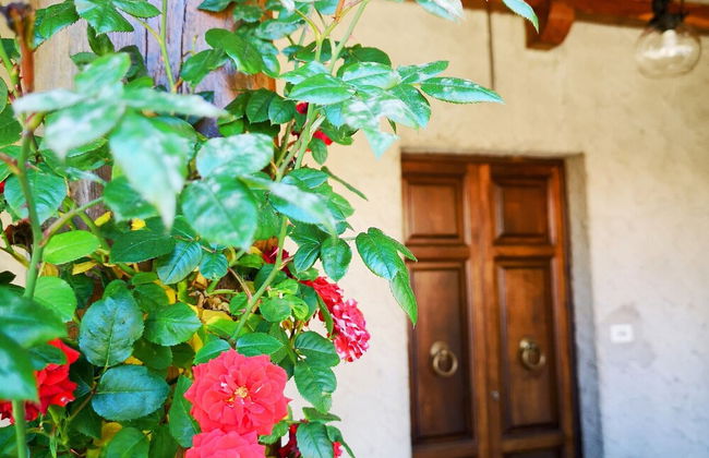 Holiday Apartment Ulivella Tuscany Garfagnana - Foto 28