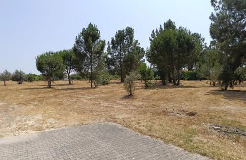 Quinta do Pinheirão - Foto 26