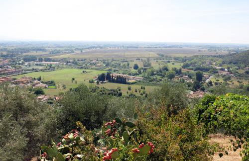 Holiday Home L'Uccelliera by Interhome - Foto 3