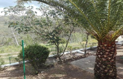 Casa dos Pinheiros - Foto 13