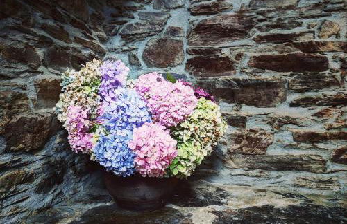 Apartamentos Casa de Riba - Foto 11