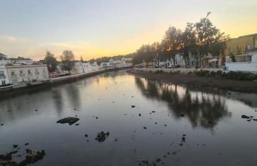 Pedras del Rei - local mágico - Foto 18