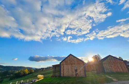 Stodoły w Bieszczadzie domy z basenem i widokiem na góry - Photo 40
