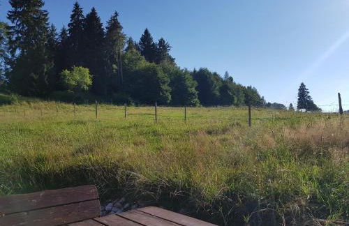 Villa im Wald - Photo 36