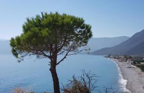 Lovely traditionnal house with sea view - Photo 60