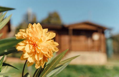 Alojamiento Turístico La alegría de la huerta - Foto 35