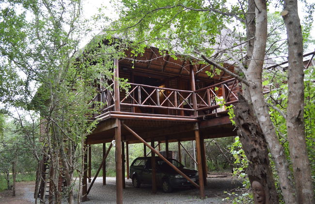 Lion Tree Bush Lodge - Foto 37