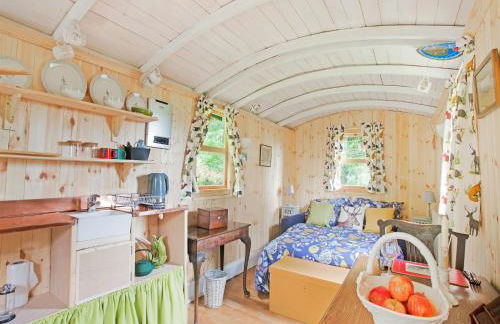 Shepherds Hut Near Exmoor National Park - Foto 6