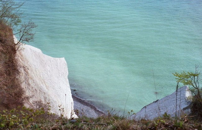 Seeschwalbe in Villa Sirene, Binz - Photo 10