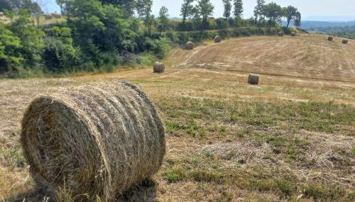 Agriturismo a casa di Toni - Foto 5