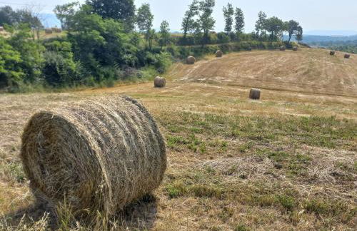 Agriturismo a casa di Toni - Photo 5