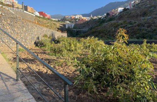 Finca Pico - Foto 49