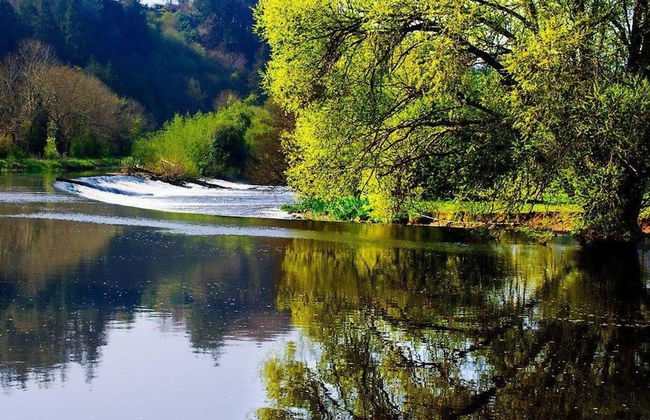 Lovely 3-bed House at Clashganny Mill, Borris - Photo 15