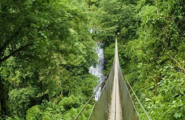 Pura Natura Lodge Arroyo - Foto 33