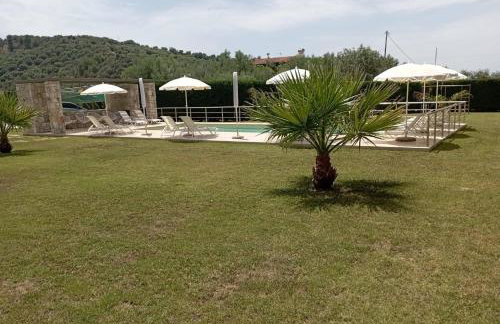 Alex House - Foto 45