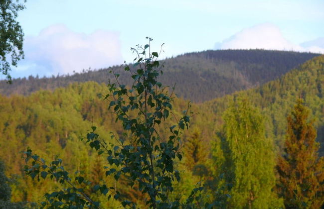 Villa Maria Comfortable Holiday Residence - Photo 14