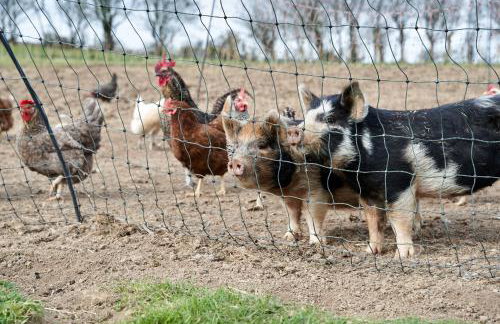 Sandy Cove Cottage - Foto 63