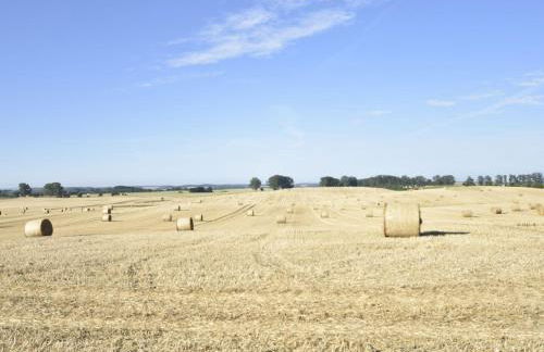 Satow Gartenwohnung - Foto 16