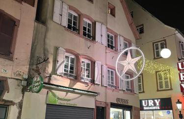 Nid d'émeraude - Votre escale cosy à Haguenau - Foto 23