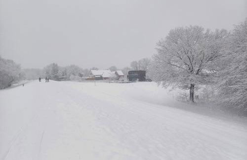 Elbauen-Chalet - Foto 43