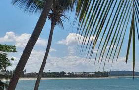 Village em Itacimirim lindo, novo e tranquilo à 400 m da Praia da Espera - Foto 42