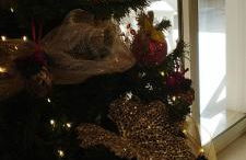 Zacchitella Garden House - Foto 49