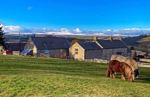 The Old Mill - 28218 - Foto 1