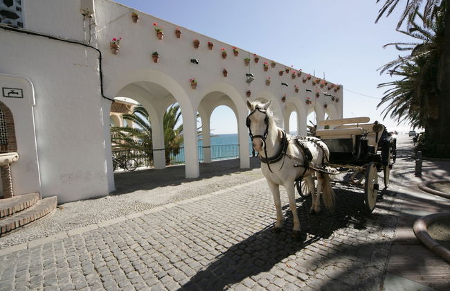 Toboso Apar-Turis - Photo 52