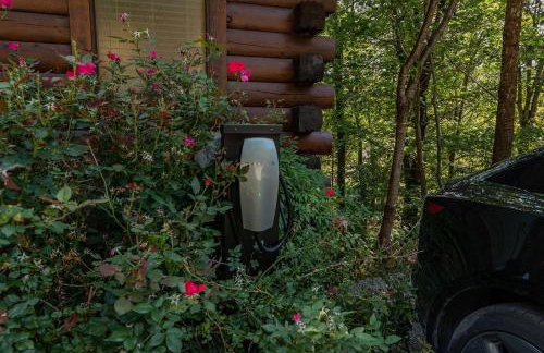 Lone Star w/ gametable - Foto 12