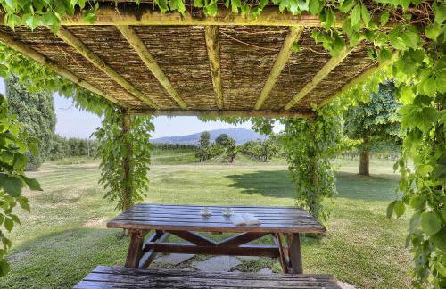 Foresteria Il Giardino di Fontarronco - Foto 45