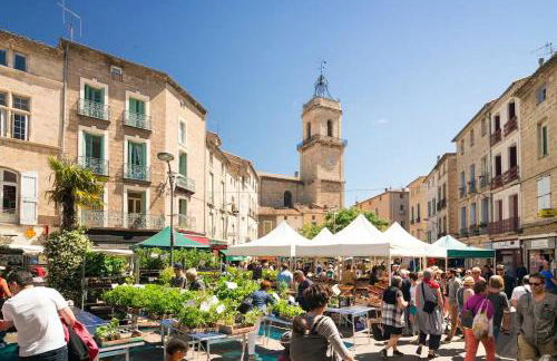 Jungle Spa - Cocon tropical et dépaysant avec balnéo en plein coeur de Pézenas ! - Foto 31