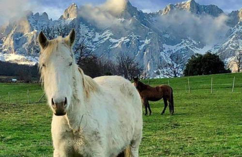 La Casita de Suances 1 - Foto 38