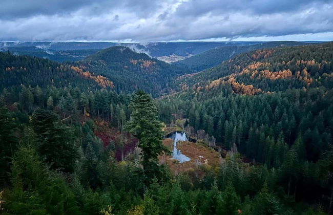 Ferienwohnung im Malerischen Kniebis - Foto 33