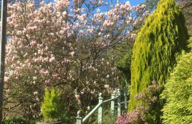 Groves Hall Garden Apartment Whitby - Photo 25