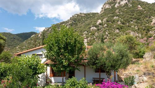 Bravita House - Foto 2