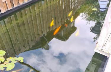 Ferienwohnung Grahn 15154 - Foto 6