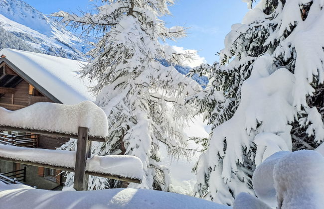 Sernisa Rez - Foto 22