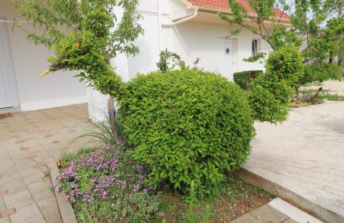 Apartman La maison - Foto 38