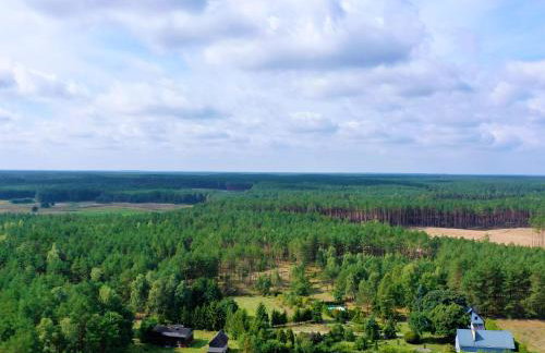 LEŚNA REZYDENCJa - Foto 51