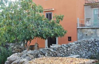 Village House - Foto 10