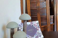 L'ECRIN DU LAC - Ô Cèpes - Foto 9