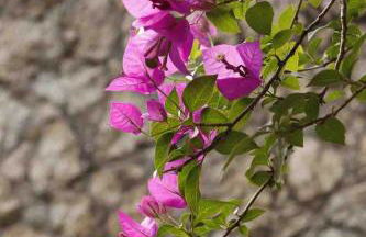 Reserva Atibaia / Casa de Montanha - Photo 6