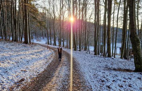 Ferienwohnung Brotterode - Foto 7