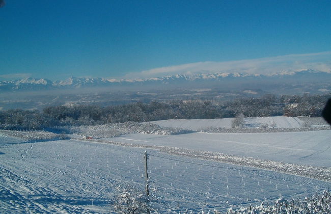Agriturismo Il Palazzetto - Foto 35