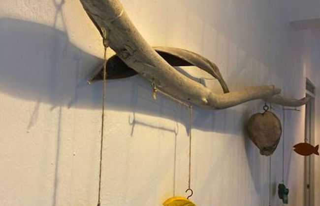 Private Terrace - Apartment 2 in Villa Coconut - Foto 10