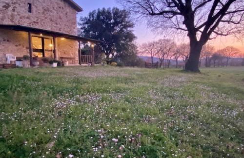 Podere Ainzara - Foto 15