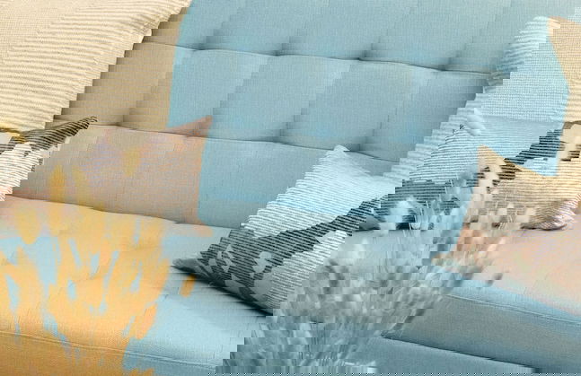 Luxury Building 3BR/2BA! Prime Downtown Mass Ave! - Foto 6